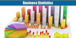 Business Statistics Study Material