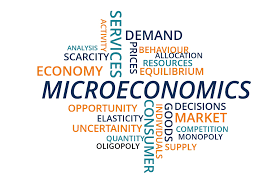 MCom I Semester Managerial Economics Production Function Iso Curves Iso Cost Lines Study Material