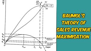 MCom I Semester Managerial Economics Baumol & Marris Models Study Material Notes