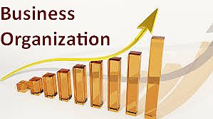 Business Organisation Books Notes